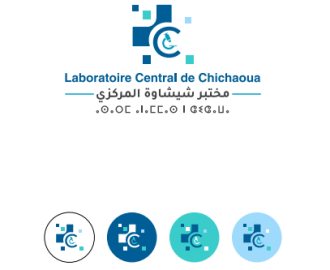 Screenshot 2025-04-10 234021